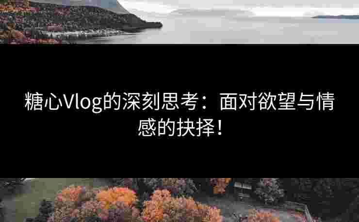 糖心Vlog的深刻思考：面对欲望与情感的抉择！